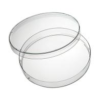 Capsula Petri, in borosilicato, con coperchio Ø 60 mm h 15 mm, 1 pz